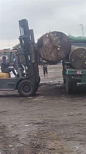 Loading a Massive Tree Into a Truck 😱 | Heavy Machine Precision