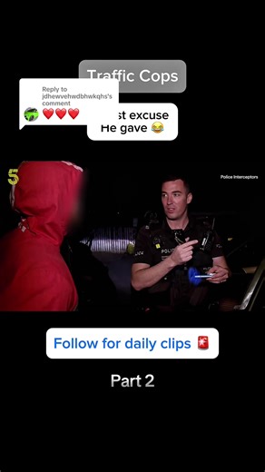 Police Interceptor Stops Dangerous Driver: Shocking Encounter