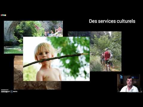 Écosystème et biodiversité