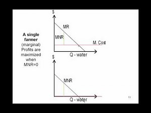AGEC 350: Static and Dynamic Efficiency Part 1