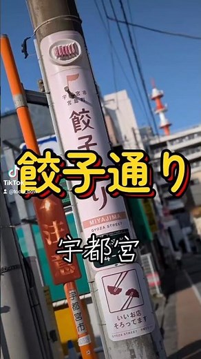 餃子まみれ!!! 「餃子通り」 宇都宮