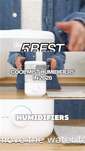 5 BEST COOL MIST HUMIDIFIERS IN 2026