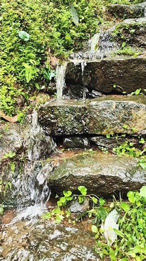 The Natural Water Stream Flows Beautifully #waterfalls #trending #shortsfeed