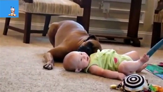 Best Funny Animals & Babies Compilation 2015