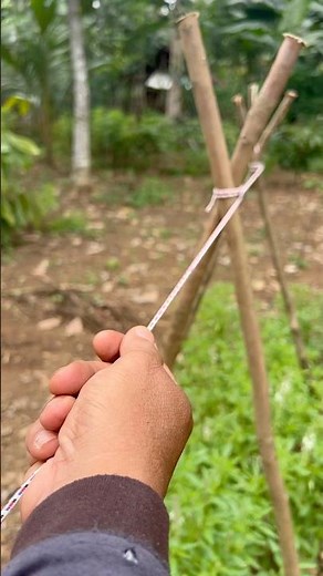 So Strong, Reliable, Simple –The Strongest Way to Tie a Vegetable Trellis!