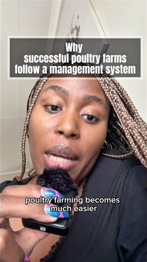 Successful poultry farms follow a system #poultryfarming