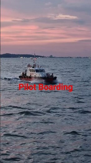 How a Harbor Pilot Boards a Ship at Sea | Real Pilot Boarding Operation