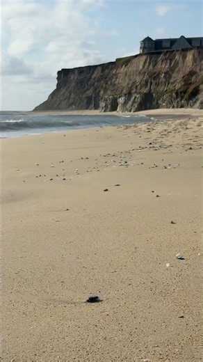California Coast Feels Different Here | Half Moon Bay 🌊
