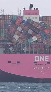 54K views · 386 reactions | Tàu One Apus gặp bão lớn trên Thái Bình...