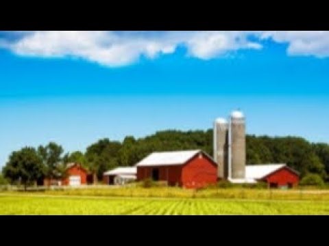 Animals on the Farm | Vocabulary Flash Cards | The Learning Station