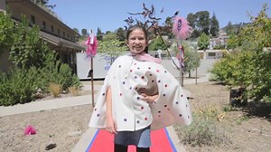 Are your kids ready for an epic adventure this summer? 🔥 Learn more about our award-winning art, science, and outdoor summer camps throughout Southern California. [Early bird special: Enroll before the end of February to save $25/week] | Galileo Camps