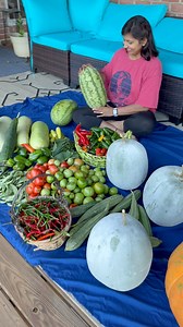 670K views · 12K reactions | What do we do with so many vegetables. A glimpse of how we are self sufficient on what we grow complete organically #gardening #organic #farming #farmlife | Patilkulkarnifarms | Facebook