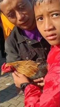 Mangon chicken at Rangge Gondang Wetan Market, Pasuruan #shorts #cakmidcakmid