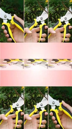 Professional Bypass Pruning Shears