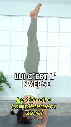 Le calcaire