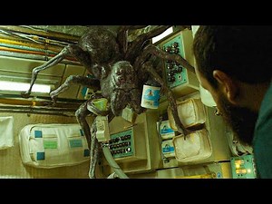 In Space, a Man Finds a Giant Spider Who Becomes His Eternal Sidekick