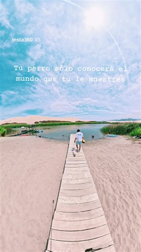 Scout dogs club - Exploradores caninos del Perú.