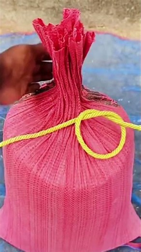 Professional T-Splice Wire Joint Technique for a Solid Connection