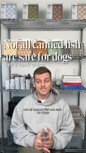 Not all canned fish is safe or equal for dogs 🐟 As a canine nutritionist, this is one of the most common questions I get about dog nutrition and healthy food toppers: can dogs eat canned fish? Yes, but the type of fish, the size of the fish, and what it’s packed in matters more than most people realize. Some fish are naturally higher in mercury. Some are more likely to trigger sensitivities. And many canned options are packed in vegetable oils or loaded with added salt, which can work against y
