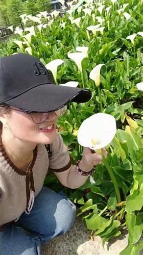 Calla lily 🤩 #vlogger #nature #waterflower #asmr