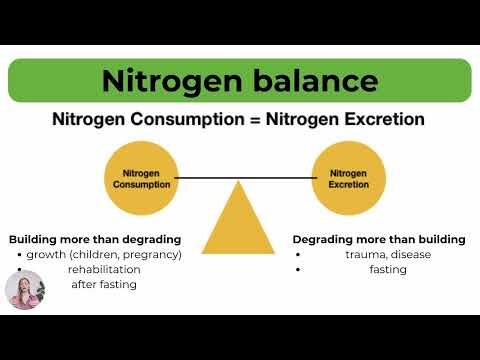 Nutrition: Understanding Macronutrients