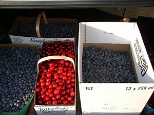 Unfrozen: An Introspective Look at Power Outages