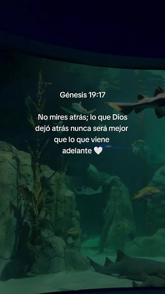 Génesis 19:17 — No mires atrás: mensaje y reflexión bíblica