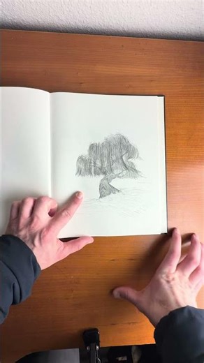 Just another wippin’ willow drawing