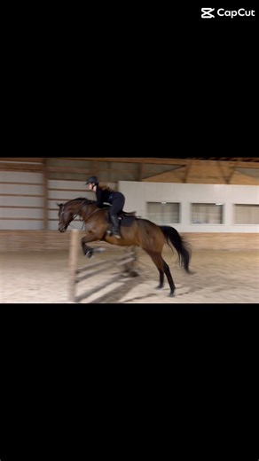 Can’t wait to get back to lessoning😍