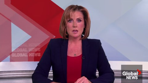 Dropped 911 call leads to discovery of large illegal grow-op near Port Hope: OPP