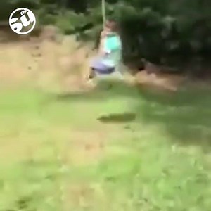 What's worse than falling off a rope swing? This... | The Sun