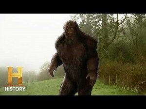 Tracking the World’s Darkest Creatures *Marathon* | MonsterQuest
