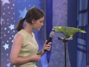 Unbelievable Singing Parrot