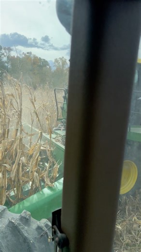 182K views · 2.3K reactions | Taking a “DUMP” on the go lol #farming #reels #shorts #johndeere #thefiveoclockfarmer #fyp #cornharvest | The Five O’Clock Farmer | Facebook