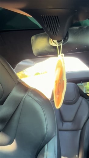 Uber Driver Plays Kazoo Live Music Concert: No Uber is Safe!