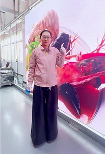 ARESLED Indoor COB 4K LED Screen | Micro Pixel Pitch