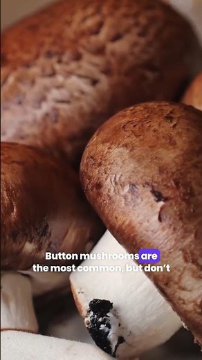 Mushroom Health Benefits Unveiled