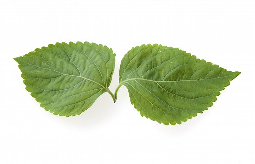 エゴマの葉とは？栄養素などの基礎知識やおすすめの食べ方をご紹介 | デリッシュキッチン