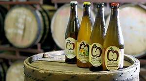 Cheers: Here are 25 breweries and places to get craft beer throughout the Southern Tier