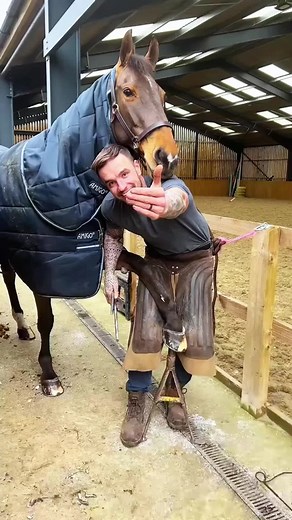 Exploring Farrier Techniques for Horse Care