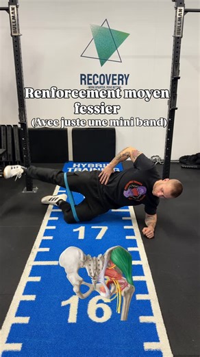 Le moyen fessier (gluteus medius) — ce petit muscle très puissant sur le côté de la hanche — joue un rôle essentiel : il stabilise ton bassin après chaque impact au sol (course, marche, sauts…). Quand il est trop faible, tu peux compenser ailleurs : bas du dos, TFL/quadriceps, genou (valgus), ou hanche… et ça finit souvent par créer douleurs et tendinopathies. Voici 3 exercices efficaces pour le renforcer avec uniquement un élastique. 1) Side plank modifié abduction de hanche Cible le moyen fess
