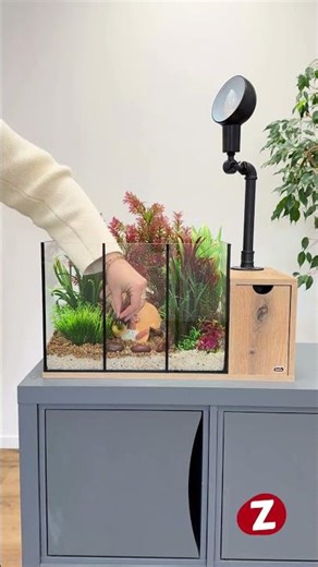 Tutoriel : installer et décorer le nano aquarium CANOPY 30L #Zolux (débutants) #nanoaquarium
