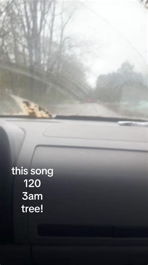 #dirtroad #mud #tree #120 #3am thanks for letting me drive | Driving Songs