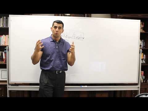 Life Cycles of an Organization