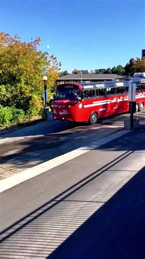 A Bus That Turns Into a Boat #AmphibiousBus #Engineering #ScienceFacts#foryou #fpyツ