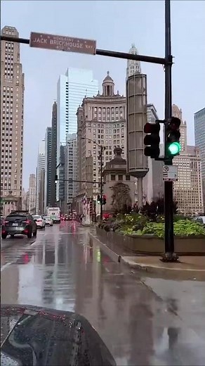 Rain 🌧️ ☔ brings a different kind of beauty to Chicago. #travel #chicagocity