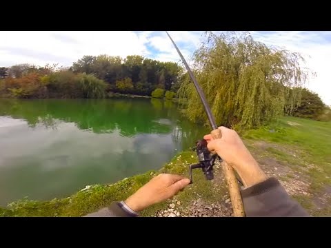 Fish are eating everything I throw at them + Cabin Cooking