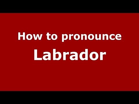 How to pronounce Labrador (American English/US) - PronounceNames.com