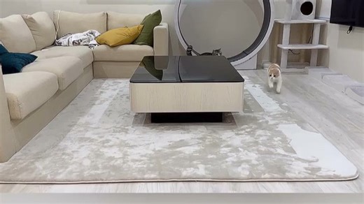 选购空气净化器时，关注CADR值、滤网类型和能耗。如小米PM2.5净化器，适用客厅，快速净化，静音节能，生活更健康。