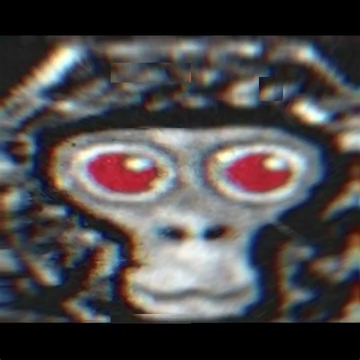 “PBBV IS WATCHING PBBV IS HERE” l-Pbbv edit-l